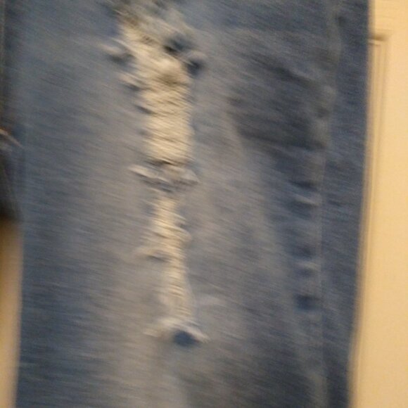 American Mazi Distressed Denim Shorts(L) NWOT - Picture 3 of 8
